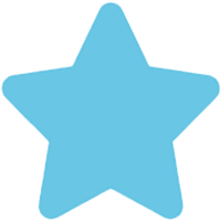 Purdi High Quality Star Icon