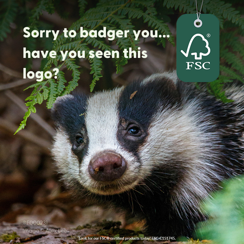 celebrating-forest-week-2026-blog-post-badger-image