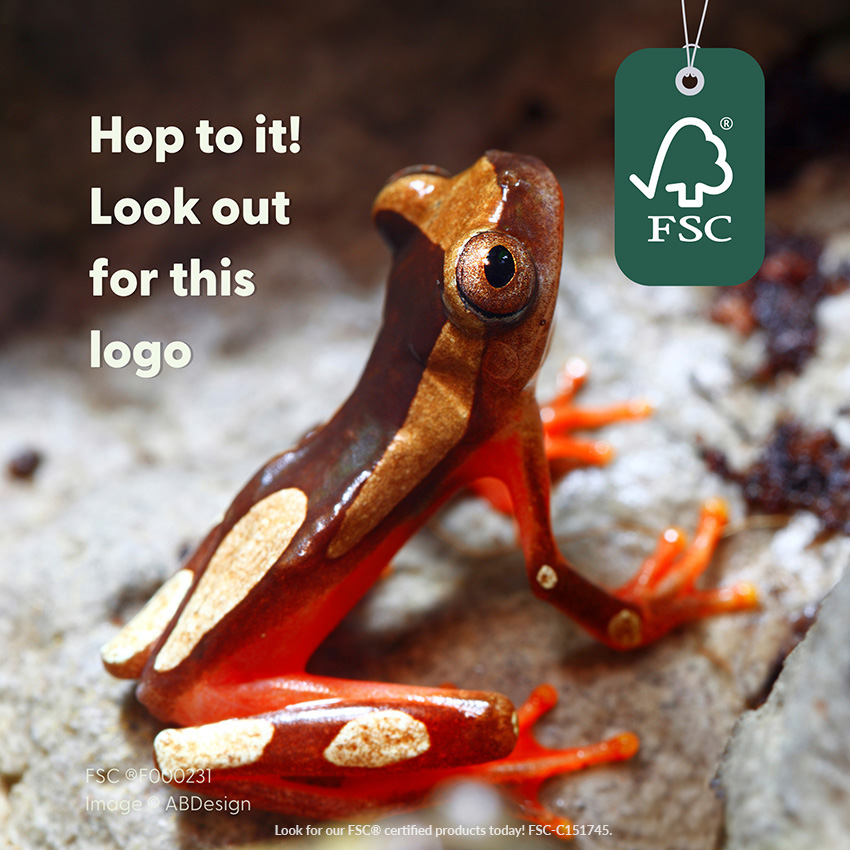celebrating-forest-week-2026-blog-post-frog-image